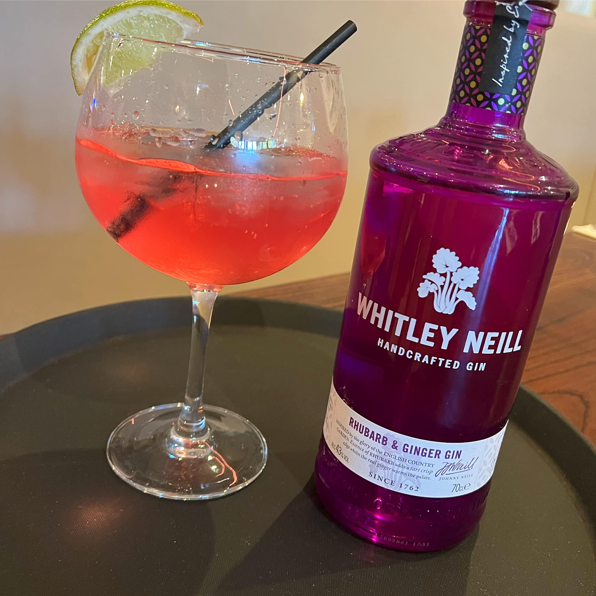 481257049_2547625155443787_8808348872736307154_n